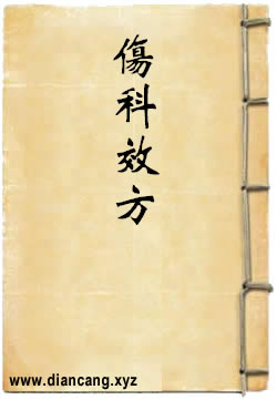 伤科效方