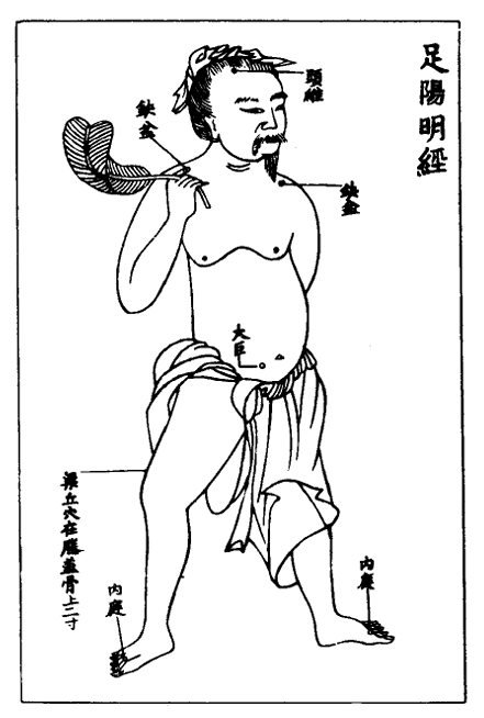 足陽明經.jpg