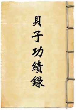 宁海将军固山贝子功绩录