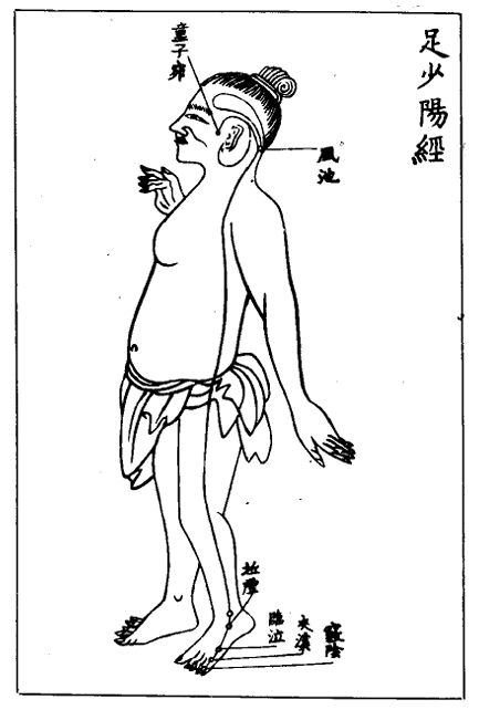 足少陽經.jpg