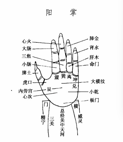 陽掌圖.jpg