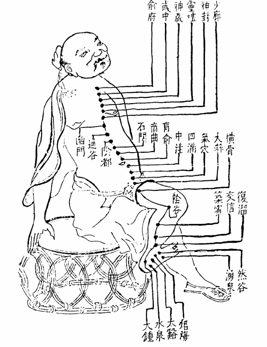 足少陰腎經.jpg