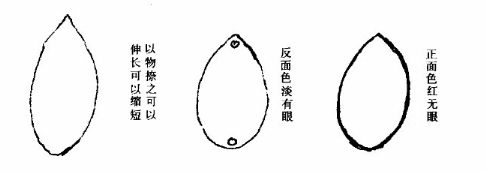 屏幕截图_5-4-2025_114345_reader.z-library.sk.jpg