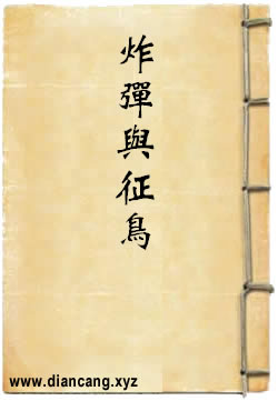 炸弹与征鸟