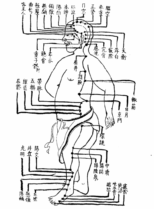 足少陽膽經.jpg