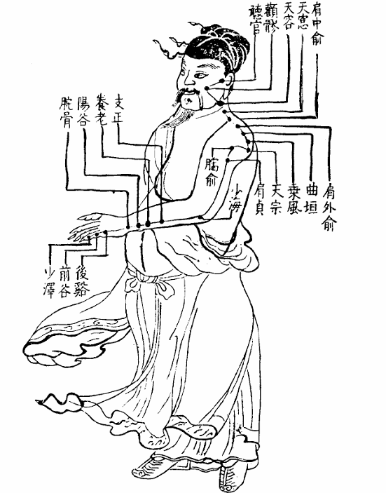 手太陽小腸經.jpg