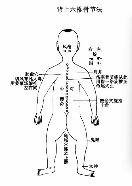 背上六推骨節法圖.jpg