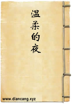 温柔的夜