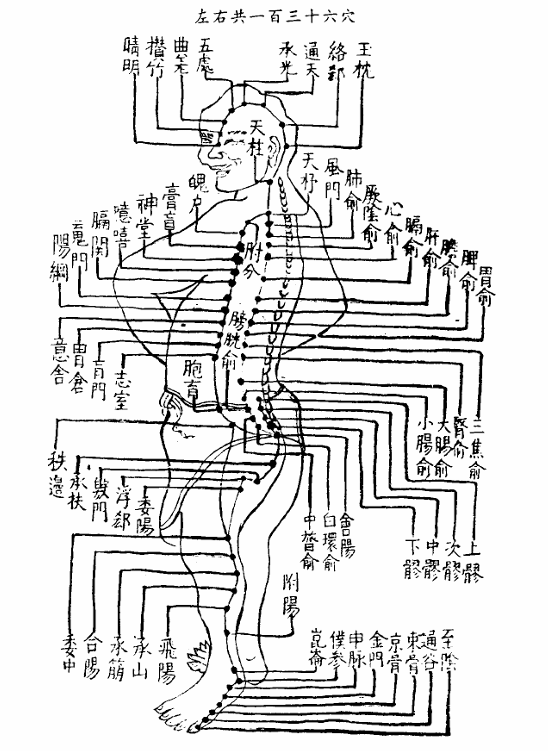 足太陽膀胱經.jpg