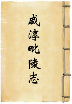 咸淳毗陵志