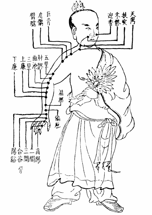 手陽明大腸經.jpg