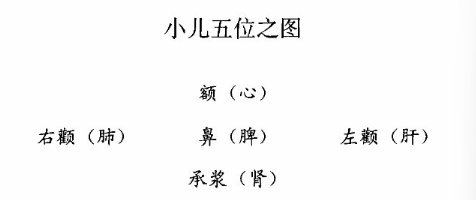 小兒五位之圖.jpg