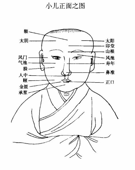 小兒正面之圖.jpg