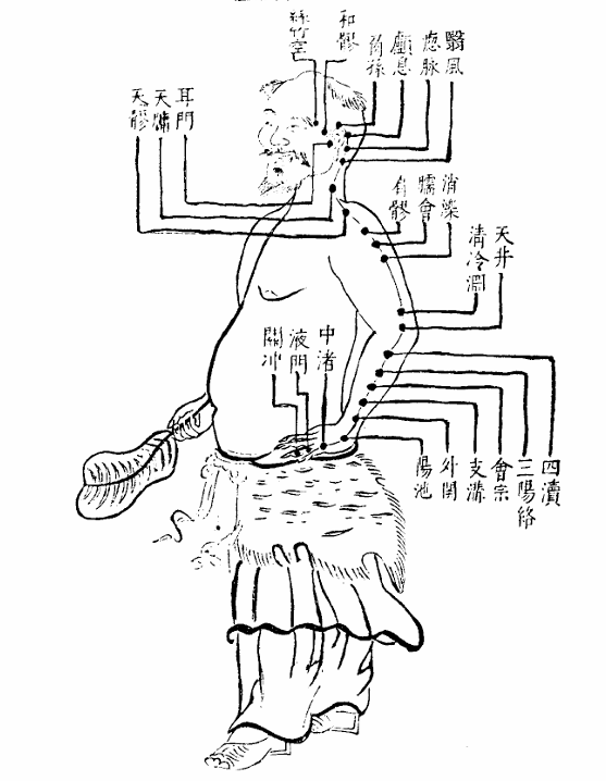 手少陽三焦經.jpg