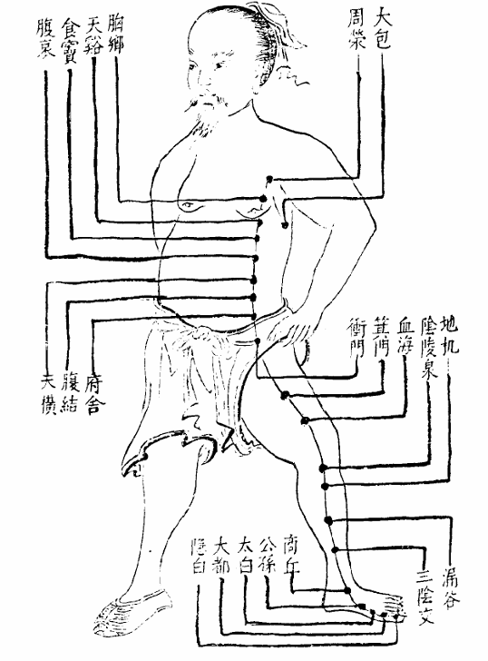 足太陰脾經.jpg