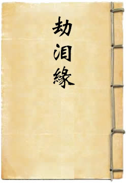 劫泪缘