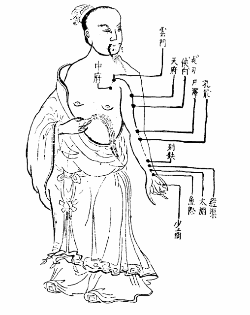 手太陰肺經.jpg
