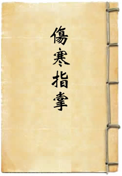 伤寒指掌