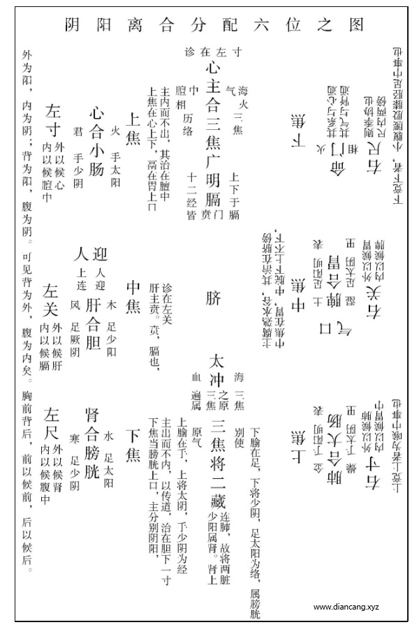 11.jpg