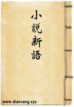 小说新语