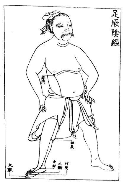 足厥陰經.jpg