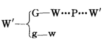 QQ20250805-153354.jpg