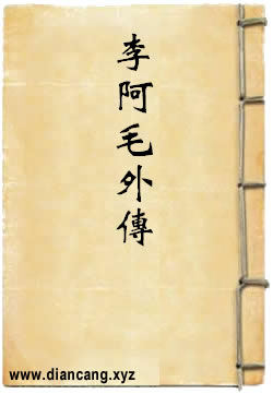 李阿毛外传