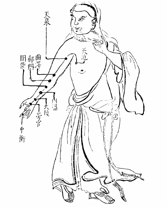 手厥陰心包絡經.jpg