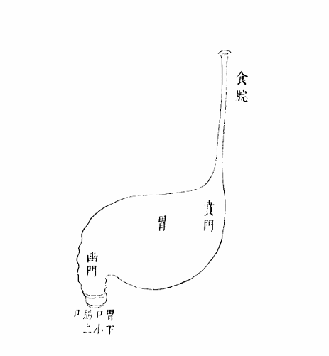 胃腑之圖.jpg