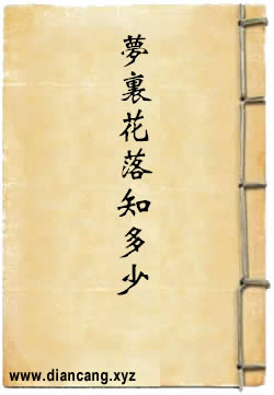 梦里花落知多少