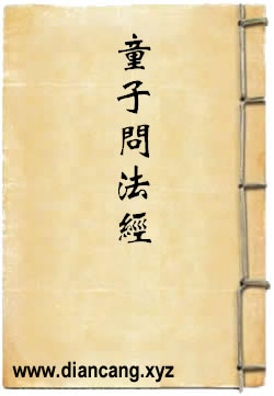 大乘宝月童子问法经