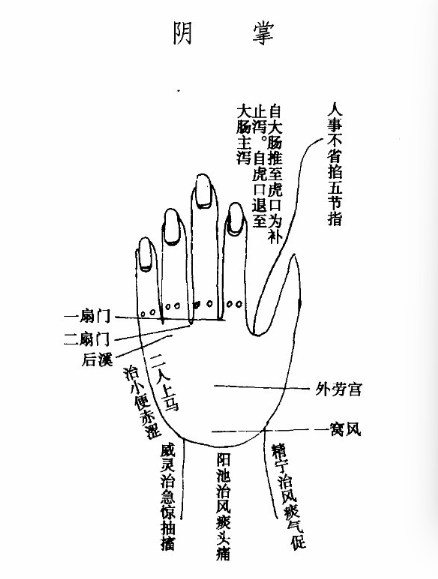 陰掌圖.jpg