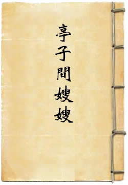 亭子间嫂嫂