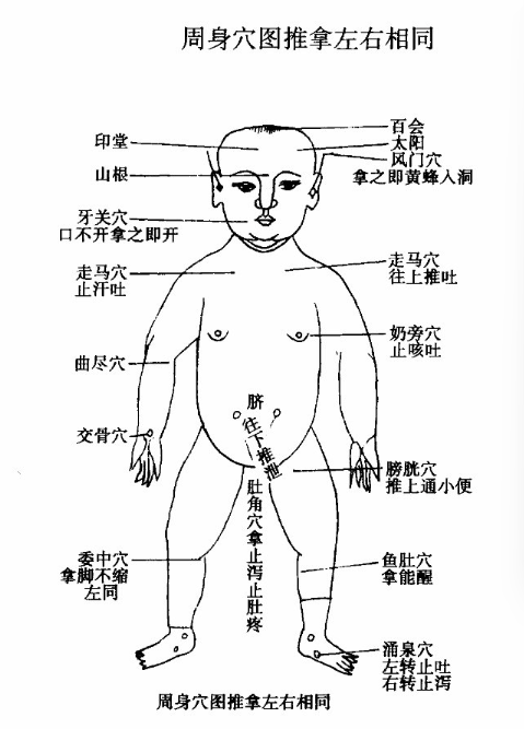 周身穴圖推拿左右相同圖.jpg