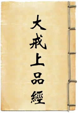 太上洞玄灵宝智慧本愿大戒上品经