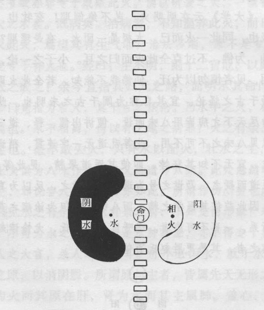 QQ20250501-114826.jpg